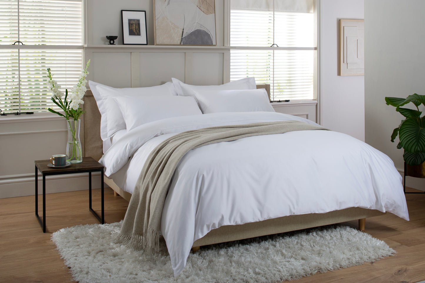 800 Thread Count Cotton Duvet Set