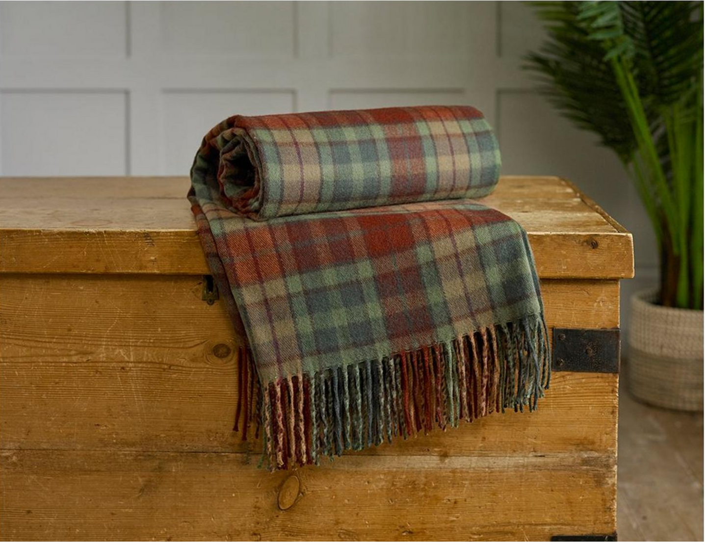Buchanan Tassel Checked Throw
