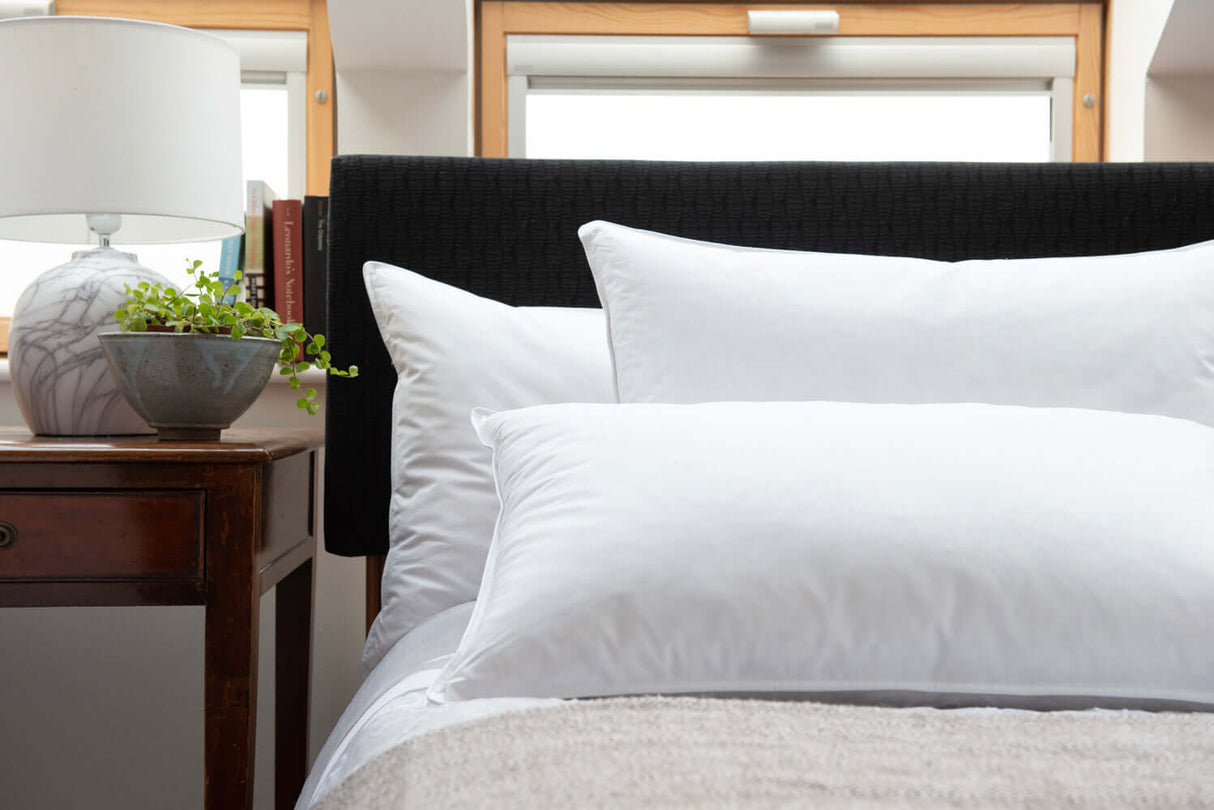 Softened Duck Feather Pillow Pair - Medium