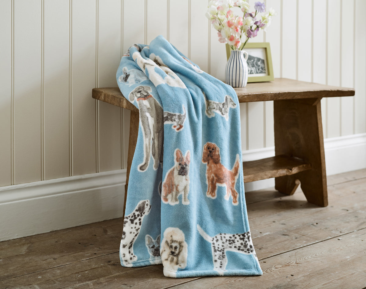 DY Cozy Comforts Kennel Club