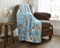 DY Cozy Comforts Kennel Club