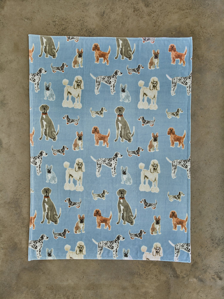 DY Cozy Comforts Kennel Club