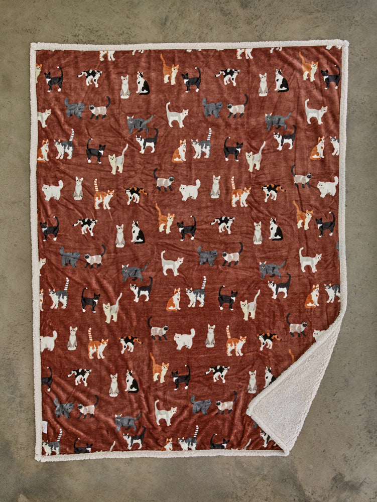 DY Mixed Kitty Throw Brick, overhead