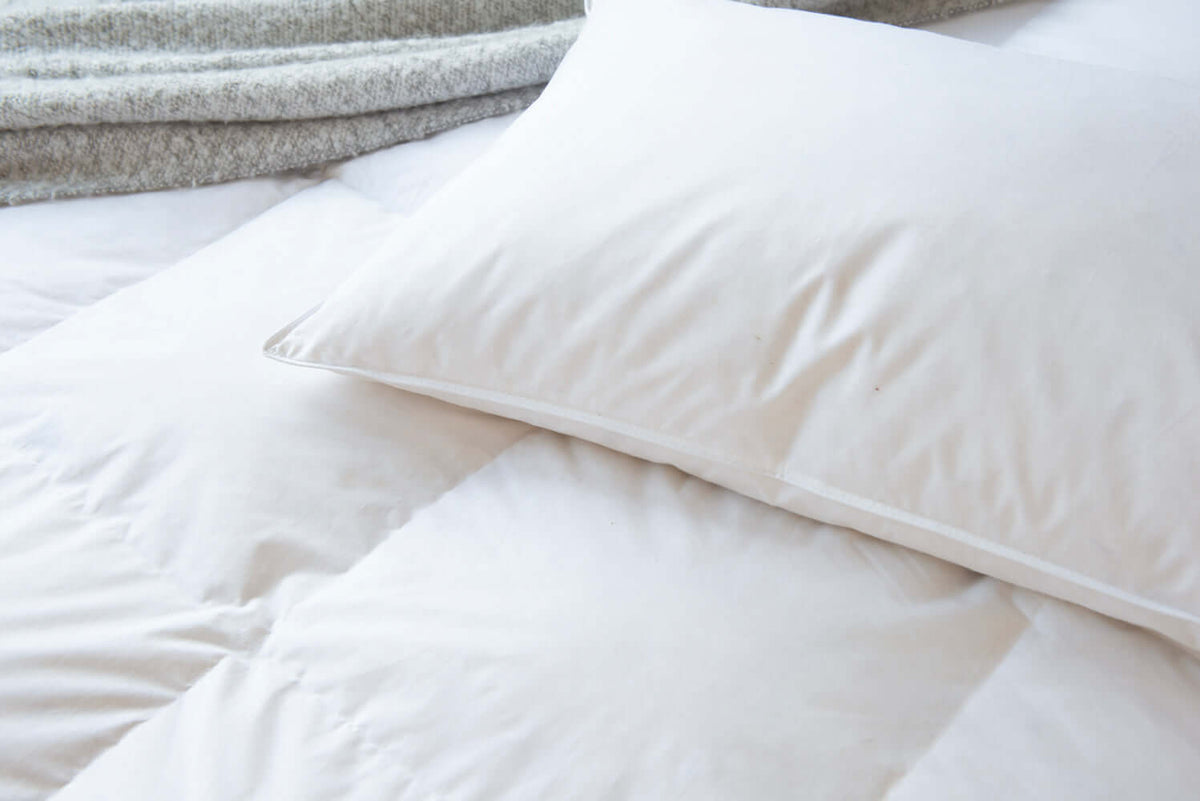 Goose Feather & Down Pillow - Medium