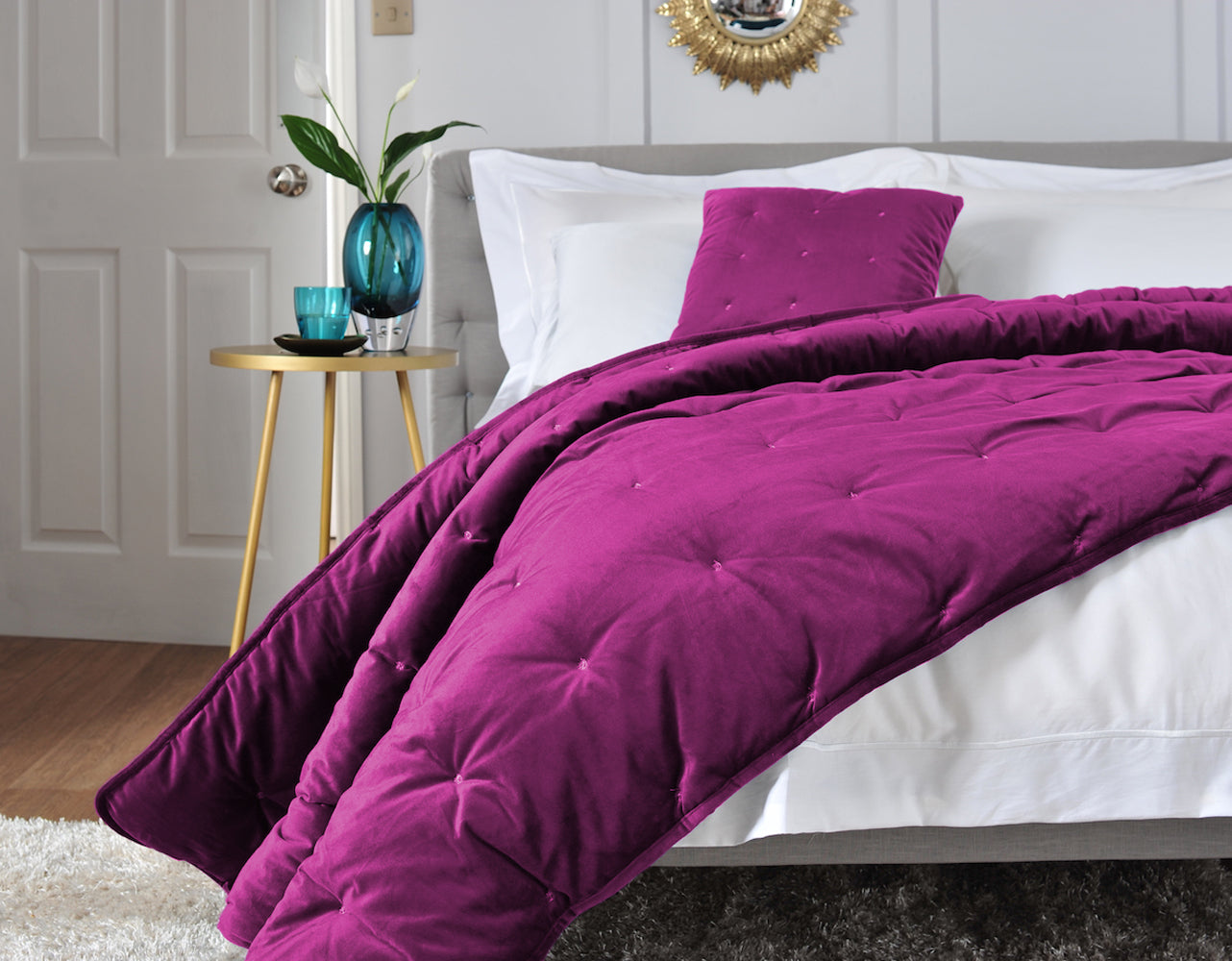 TLC Velvet Dot Collection Bed Throws & Cushions
